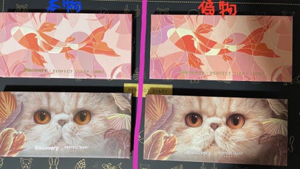 エクスプローラ12色 動物アイシャドウパレット/PERFECT DIARY/アイシャドウパレットを使ったクチコミ(2枚目)