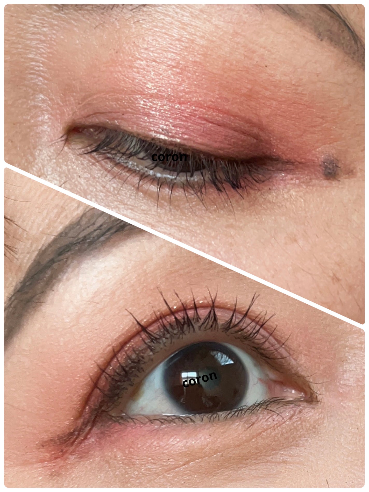 コンパクトアディクション “エターナル イン ピンク”/ADDICTION/アイシャドウパレットを使ったクチコミ(2枚目)