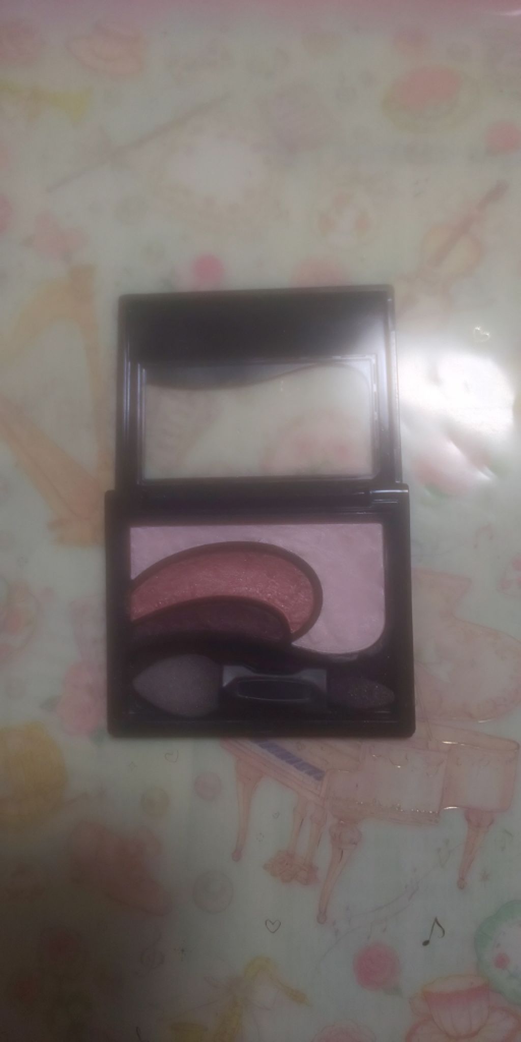 そのまま簡単仕上げ アイカラー/エルシア/アイシャドウパレットを使ったクチコミ（2枚目）