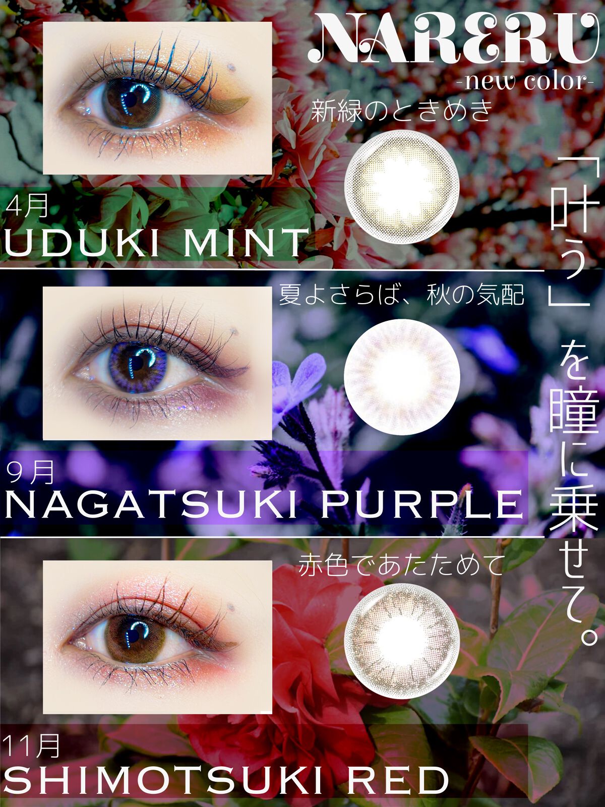 NARERU 1day/NARERU/ワンデー(1DAY)カラコンを使ったクチコミ(1枚目)