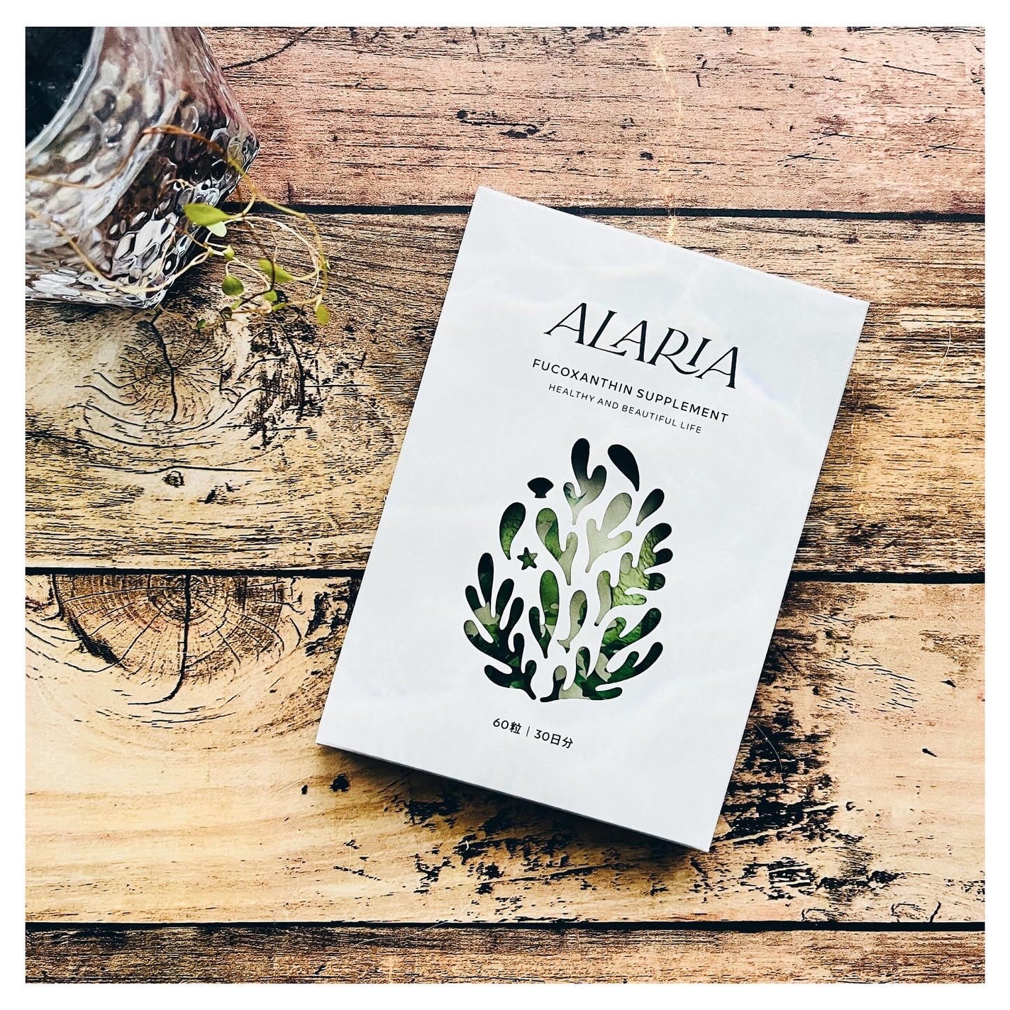 フコキサンチン サプリメント/ALARIA/健康サプリメントを使ったクチコミ(7枚目)