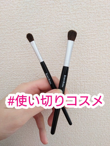 アイシャドウブラシセット/ロージーローザ/メイクブラシを使ったクチコミ(1枚目)