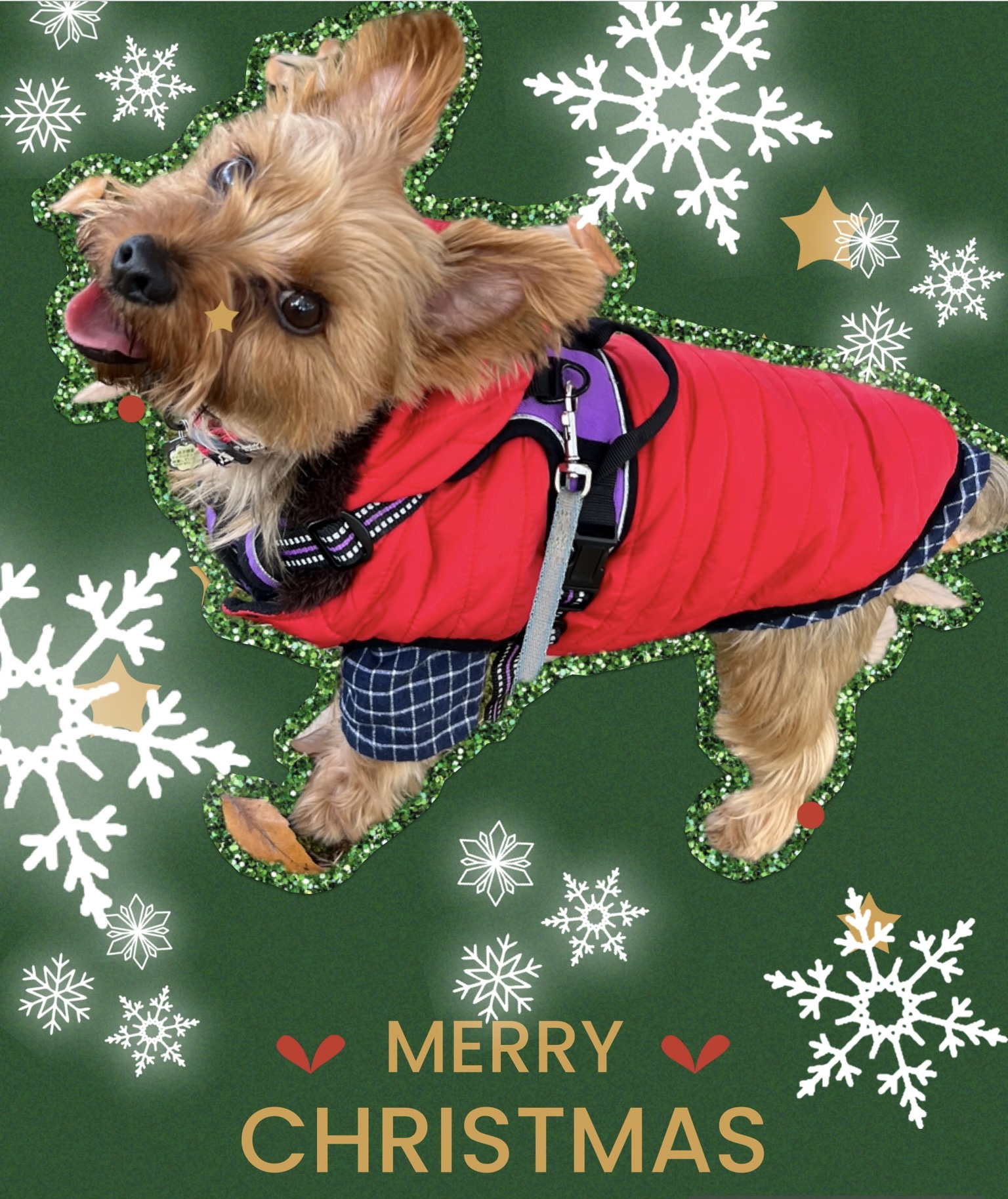 ジューシーティントリップカラー/U R GLAM/リップティントを使ったクチコミ（3枚目）