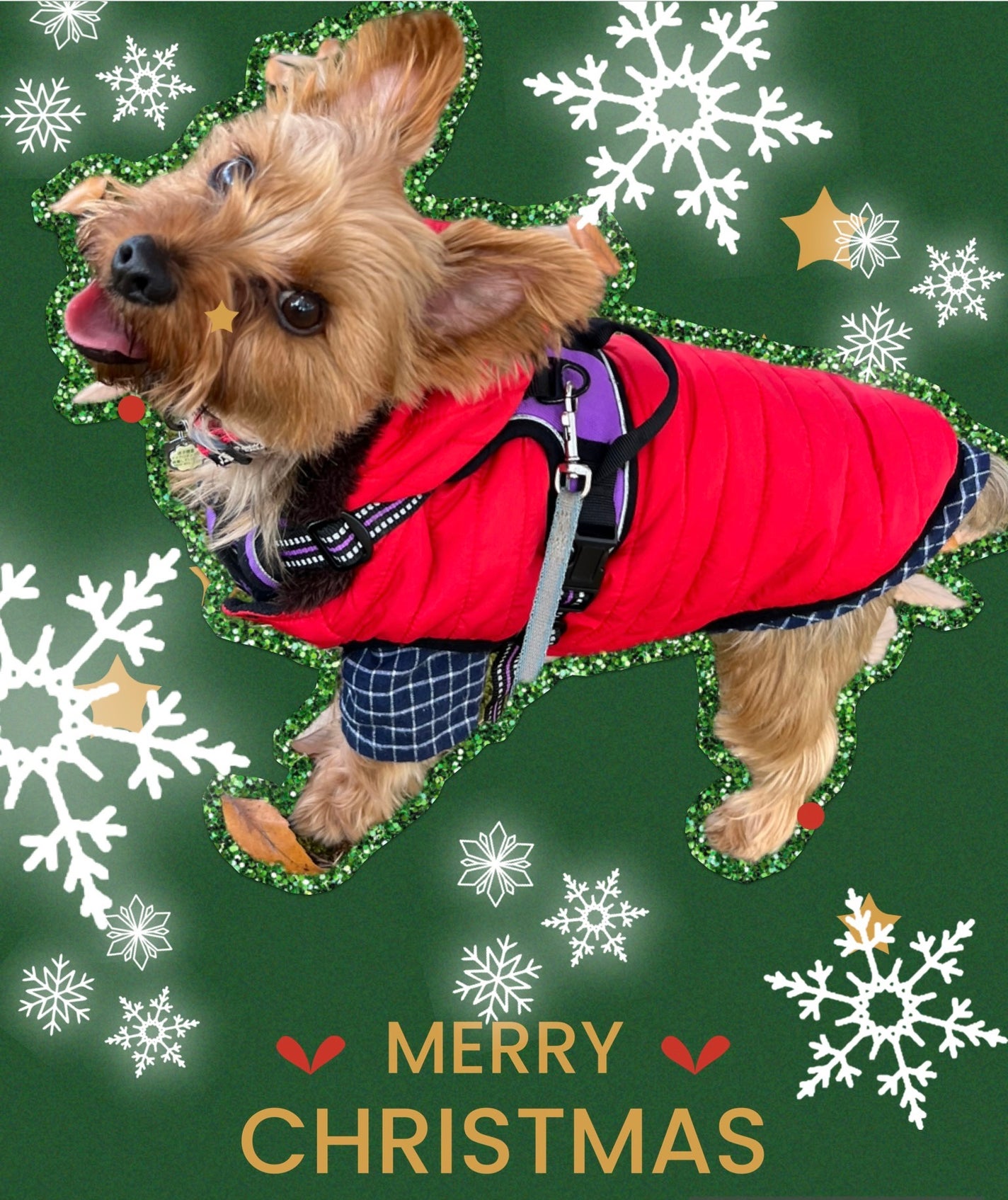 ジューシーティントリップカラー/U R GLAM/リップティントを使ったクチコミ(3枚目)