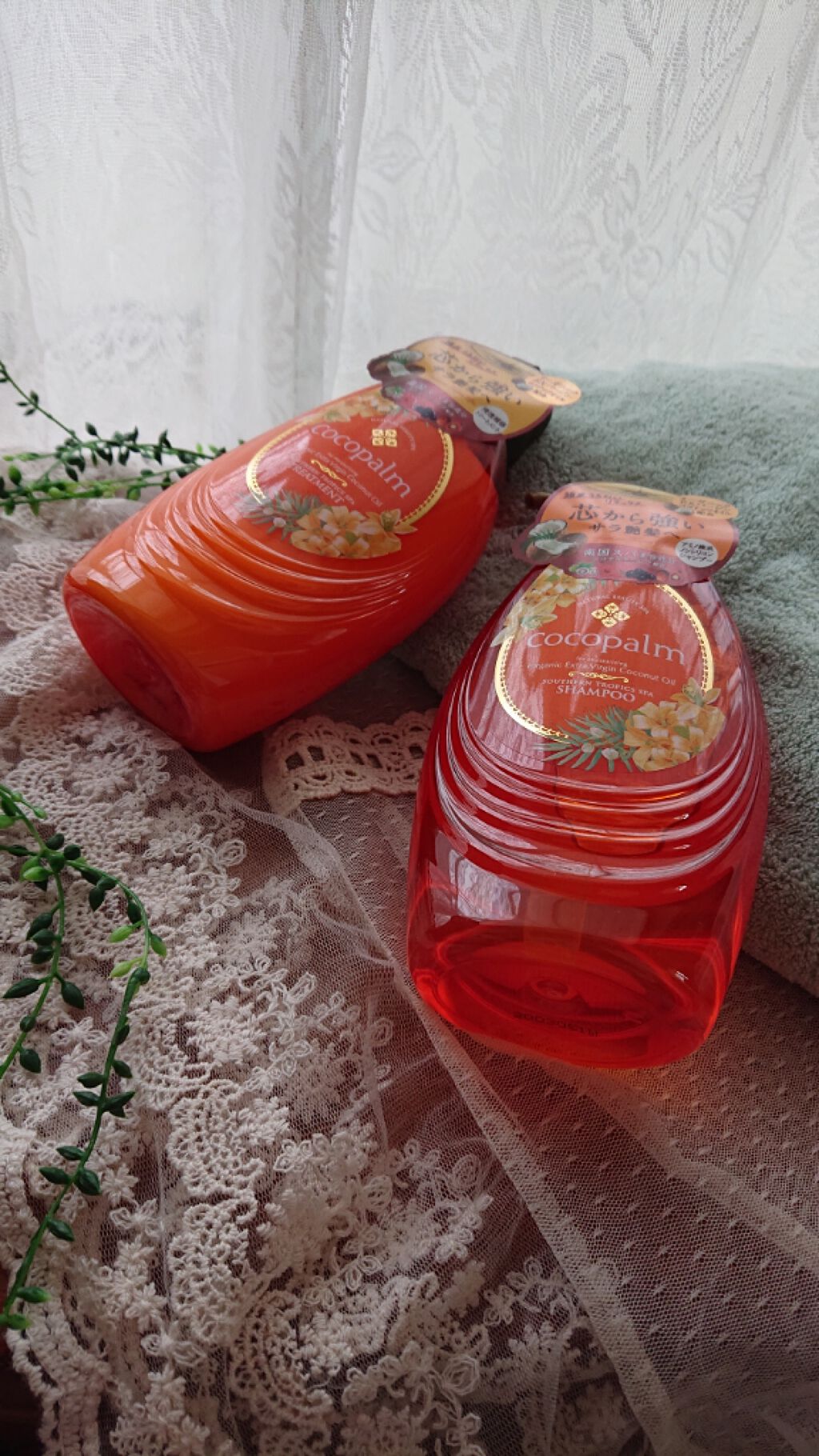 南国スパシャンプー/トリートメント/Cocopalm(ココパーム)/市販シャンプーを使ったクチコミ(1枚目)