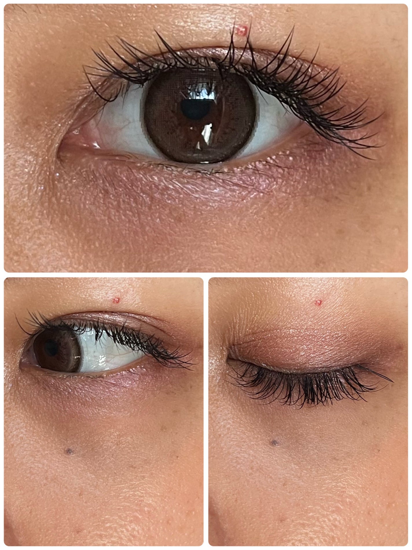 フェイス カラー(レフィル)/shu uemura/パウダーチークを使ったクチコミ(4枚目)