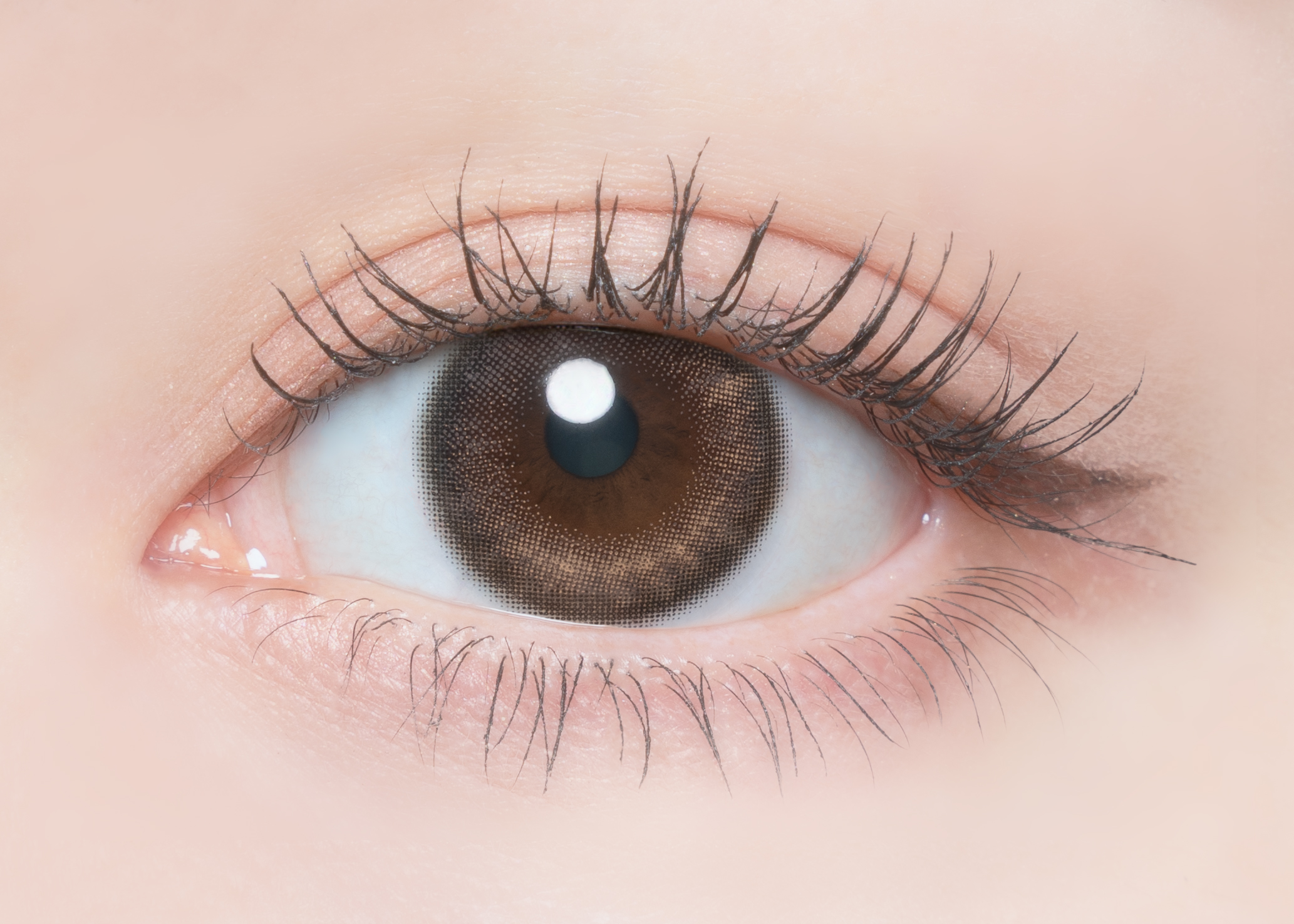 FLANMY 1day バターファッジ