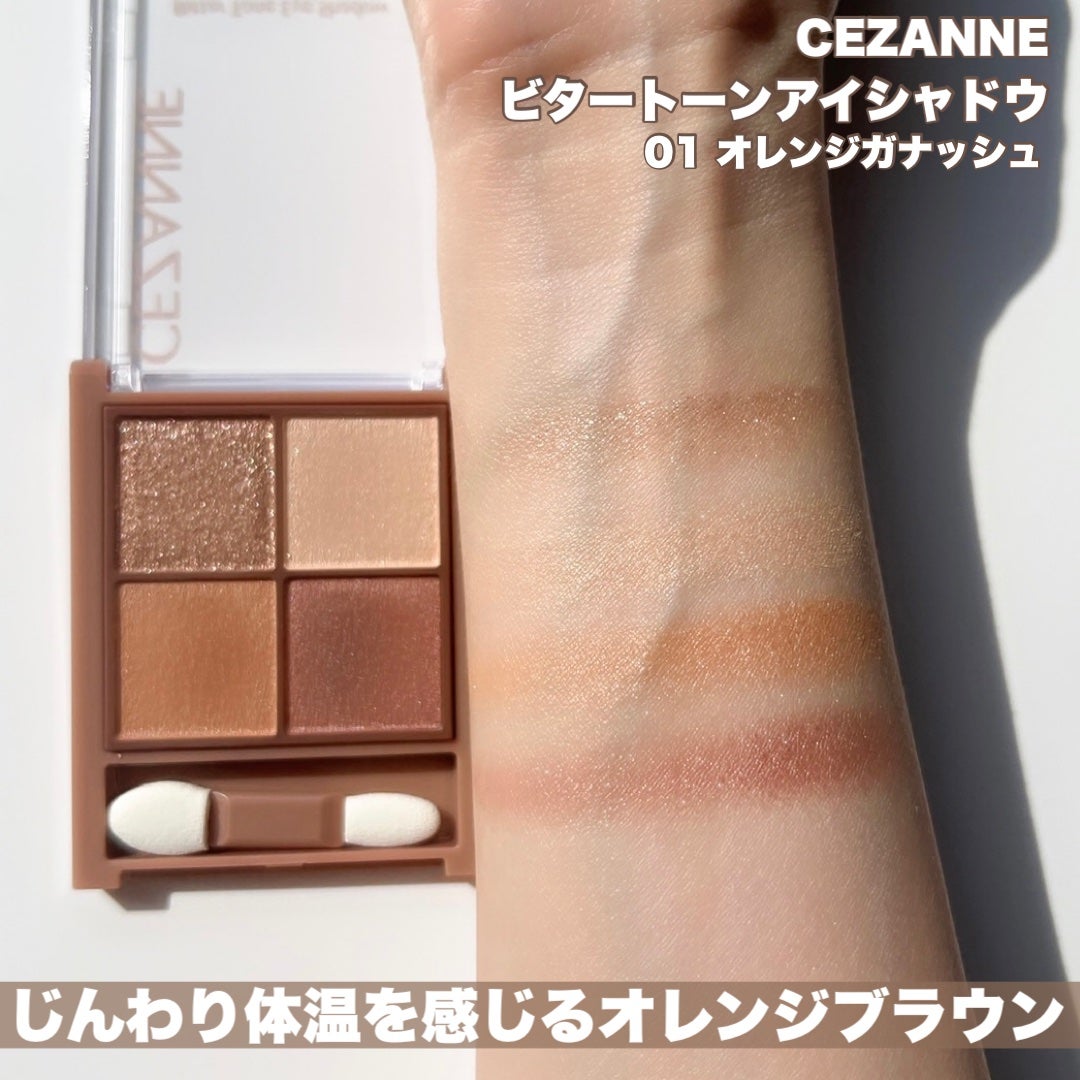 ビタートーンアイシャドウ/CEZANNE/パウダーアイシャドウを使ったクチコミ(6枚目)