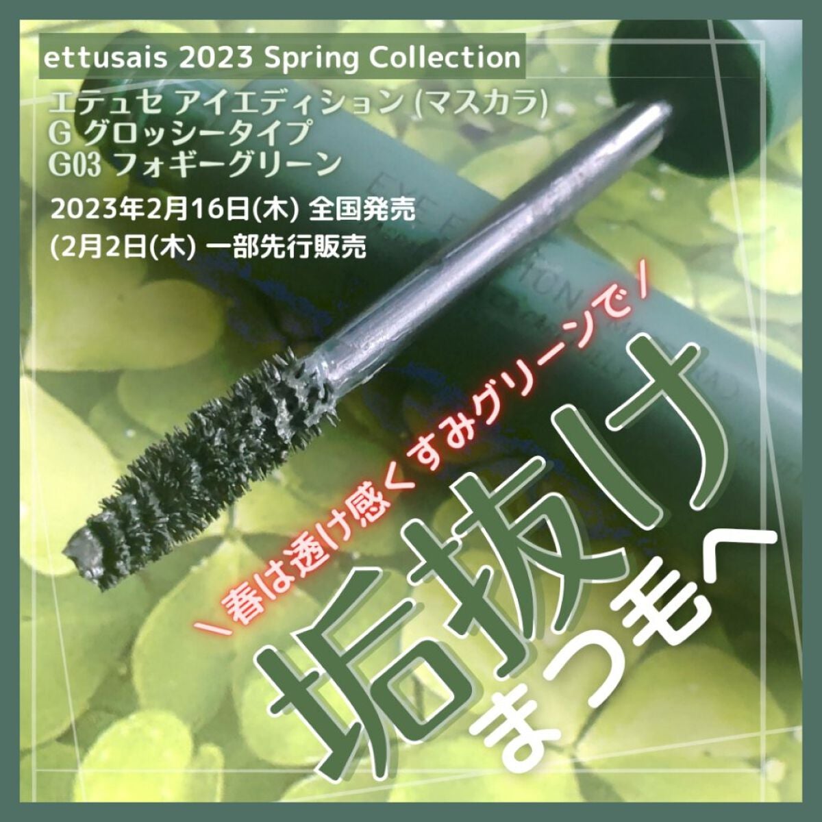 エテュセ アイエディション(マスカラ) G グロッシータイプ/ettusais/マスカラを使ったクチコミ(1枚目)