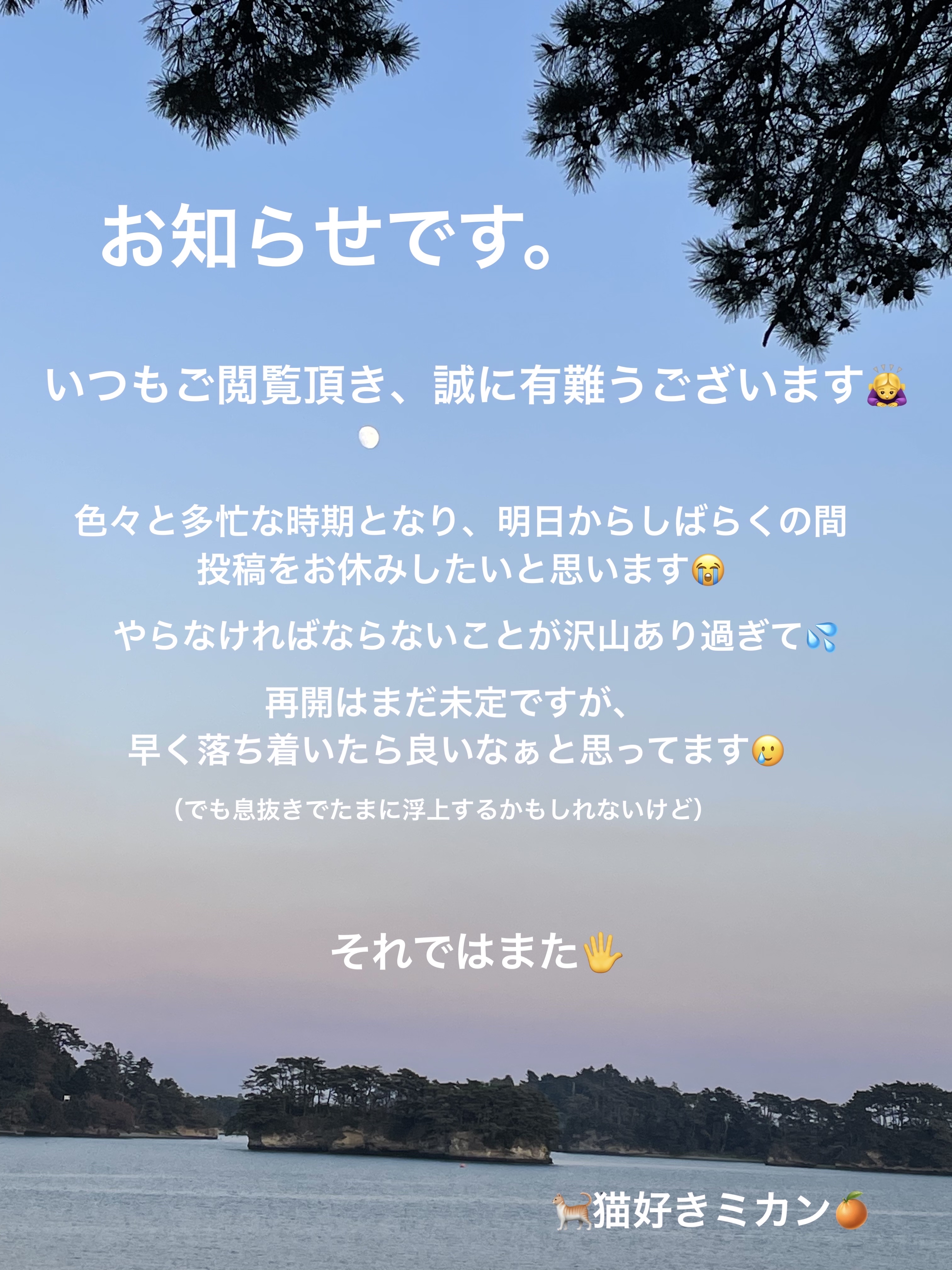 ケイト ポッピングシルエットシャドウ/KATE/アイシャドウパレットを使ったクチコミ（3枚目）