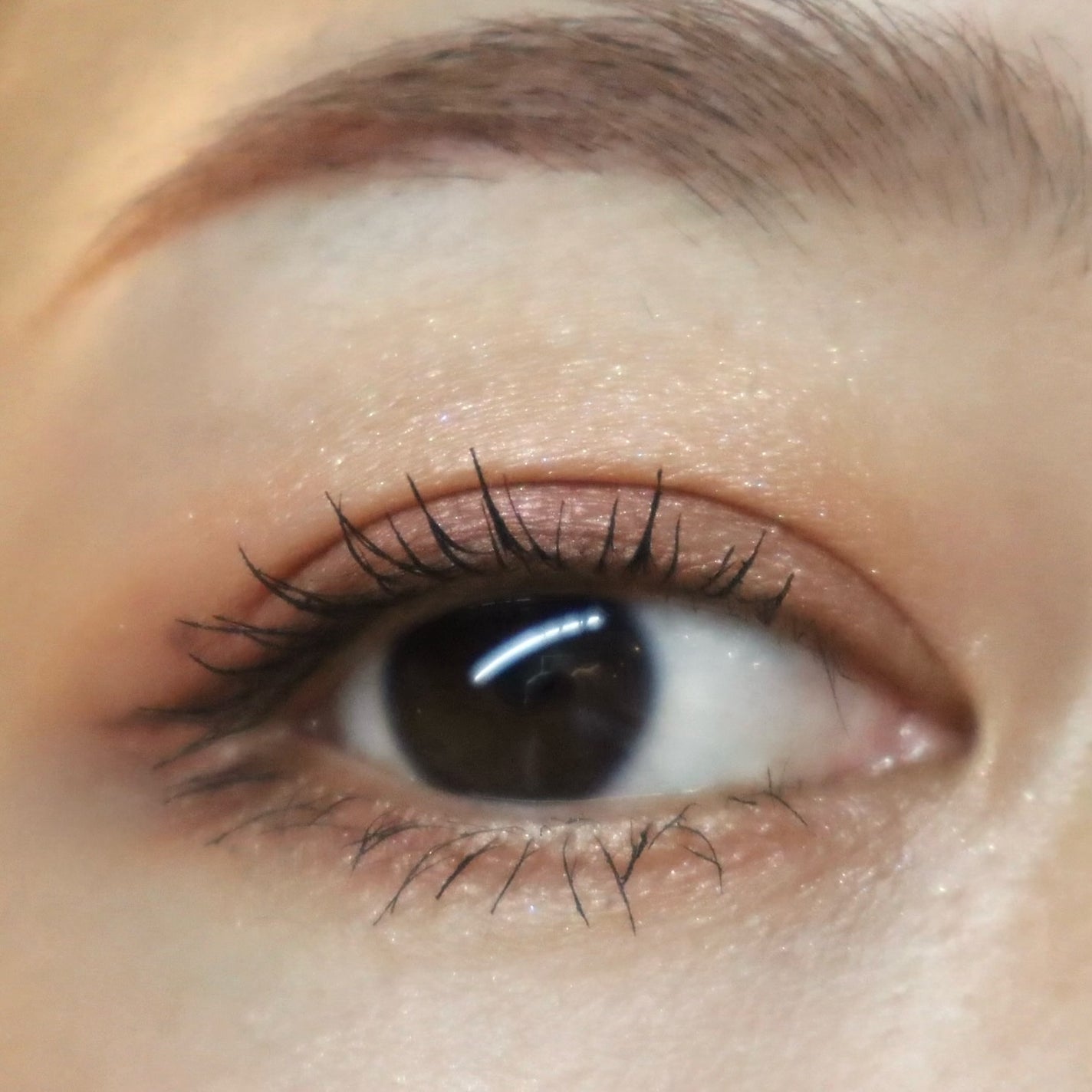 シグニチャー カラー アイズ/SUQQU/アイシャドウパレットを使ったクチコミ(7枚目)