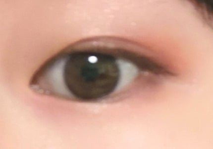 スキニーリッチシャドウ/excel/アイシャドウパレットを使ったクチコミ(4枚目)