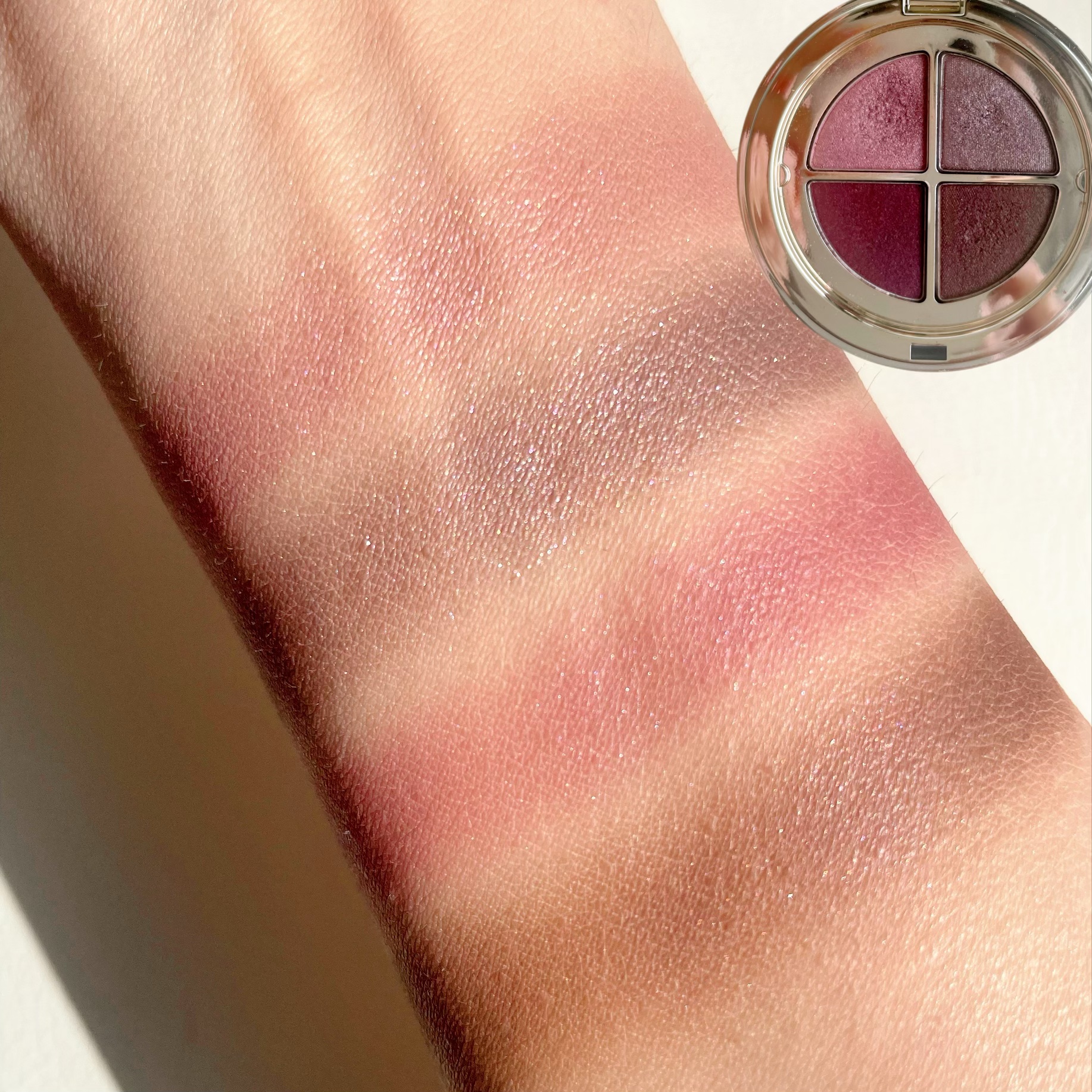 オンブル ４ 02 ローズウッド/CLARINS/アイシャドウパレットを使ったクチコミ（2枚目）