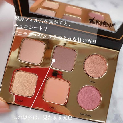 PRO TO GO/tarte/アイシャドウパレットを使ったクチコミ(2枚目)