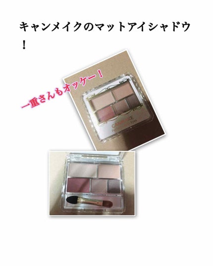 パーフェクトマルチアイズ/キャンメイク/アイシャドウパレットを使ったクチコミ(1枚目)