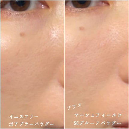 マーシュフィールド SC プルーフパウダーP/マーシュ・フィールド/ルースパウダーを使ったクチコミ(4枚目)