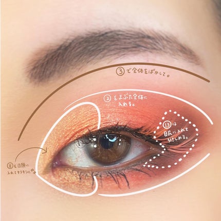 大英博物館 エジプトシリーズ アイシャドウパレット/ZEESEA/アイシャドウパレットを使ったクチコミ(2枚目)