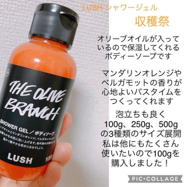 購入した大好きなLUSHさんの紹介
✼••┈┈••✼••┈┈••✼••┈┈••✼••┈┈••✼

今回は大好きなLUSHさんの
『抱擁の満月』『シャワージェル 収穫祭』
皆さんにも良さを伝えたくて紹介し