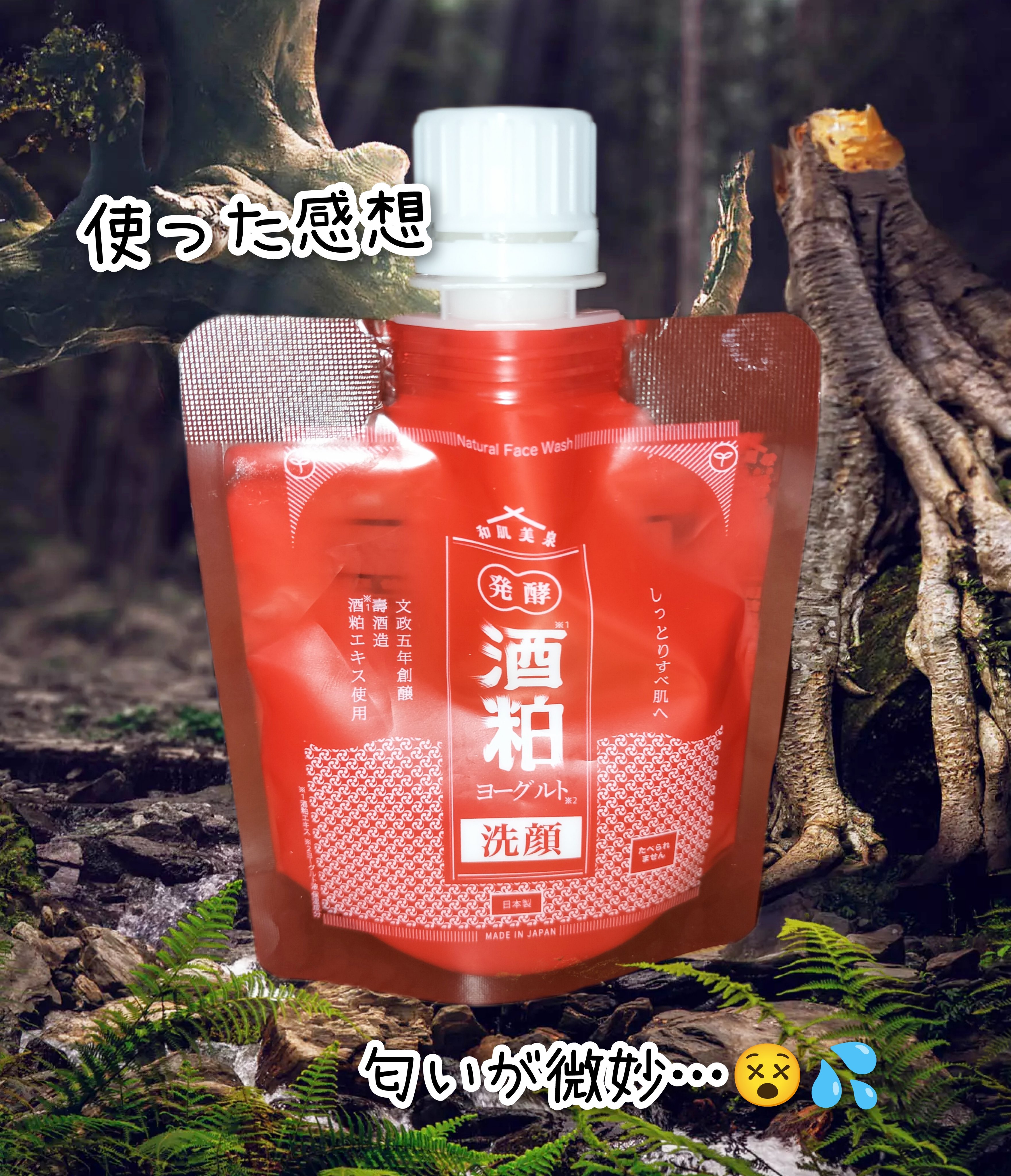 発酵・酒粕ヨーグルト洗顔/和肌美泉/洗顔フォームを使ったクチコミ（1枚目）