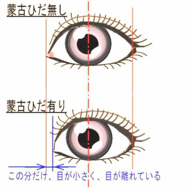 かきくけこ on LIPS 「蒙古襞をなくす方法鼻の根本を掴んで鼻を高くするイメージで引っ張..」（1枚目）