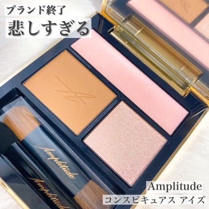 コンスピキュアス アイズ/Amplitude/アイシャドウパレットを使ったクチコミ(1枚目)