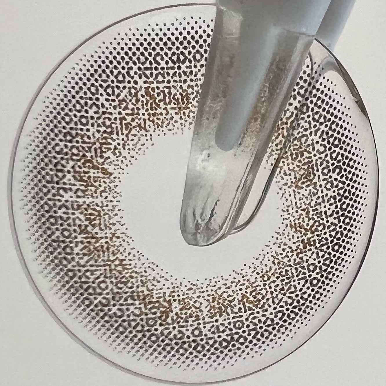 エバーカラーワンデー ルクアージュ/エバーカラー/ワンデー(1DAY)カラコンを使ったクチコミ(6枚目)