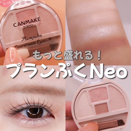 プランぷくコーデアイズ/キャンメイク/パウダーアイシャドウを使ったクチコミ(1枚目)