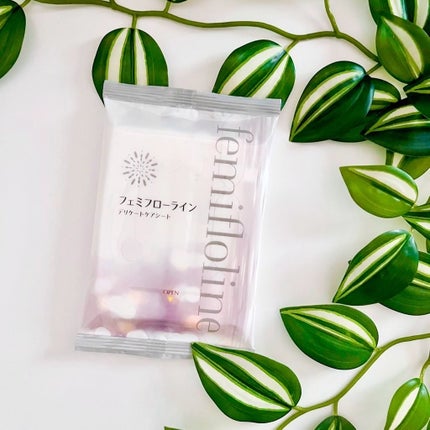 フェミフローライン デリケートケアシート/わかもと製薬/デリケートゾーンケアを使ったクチコミ(7枚目)