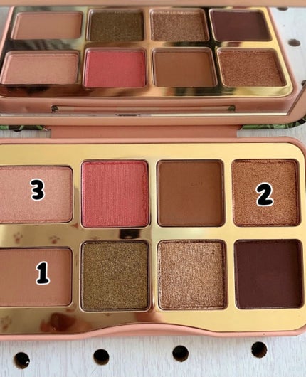 シェイク ユア パーム パームズ ミニ アイシャドウ パレット/Too Faced/アイシャドウパレットを使ったクチコミ(2枚目)