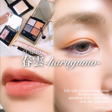 スモーキーシークフォーチークス/Amplitude/パウダーチークを使ったクチコミ(1枚目)