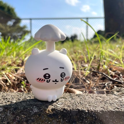 CWハイライター /SHOBIDO/パウダーハイライトを使ったクチコミ(9枚目)