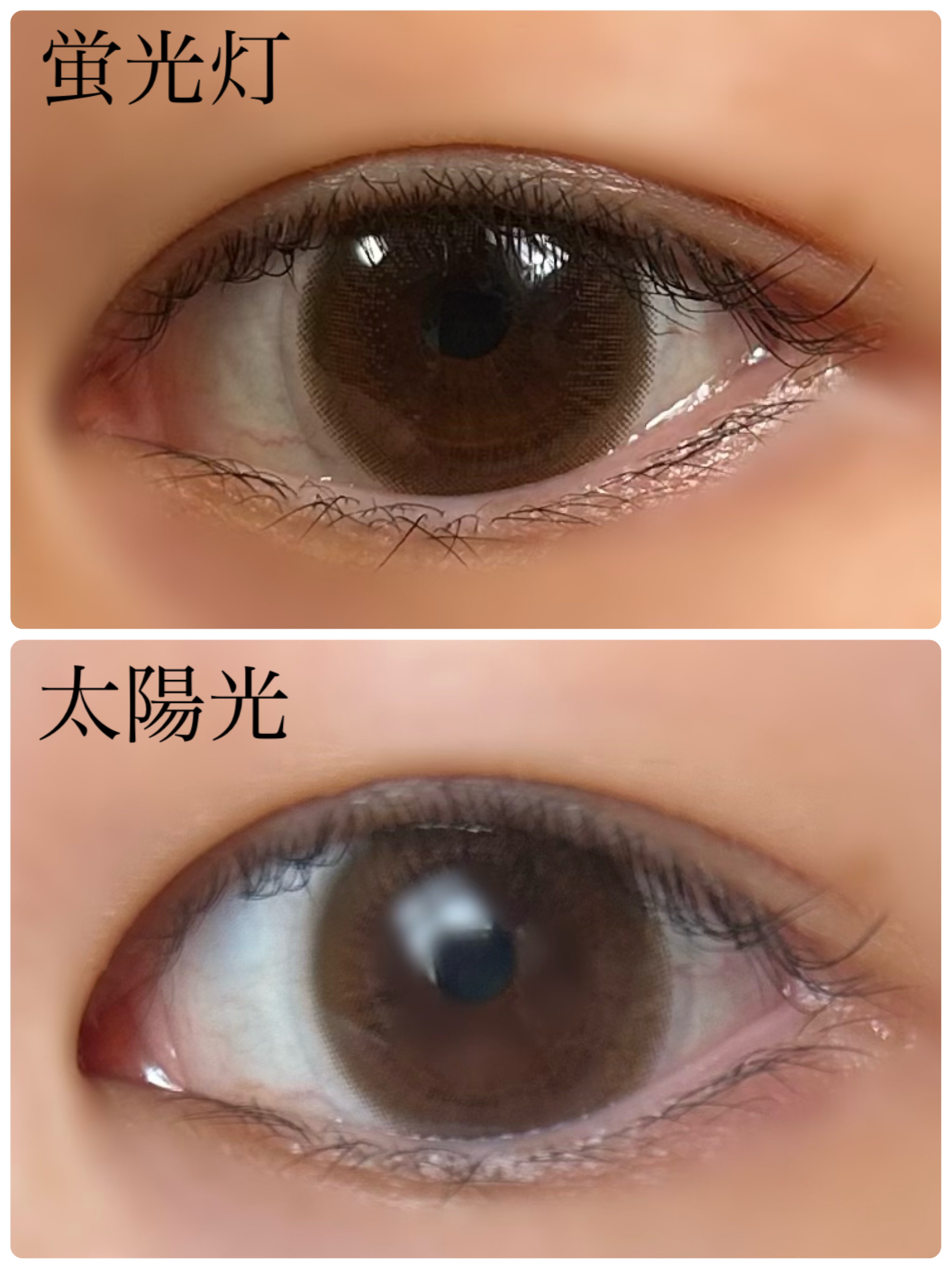 セレクトフェアリー ユーザーセレクト マンスリー/FAIRY/１ヶ月（１MONTH）カラコンを使ったクチコミ（2枚目）