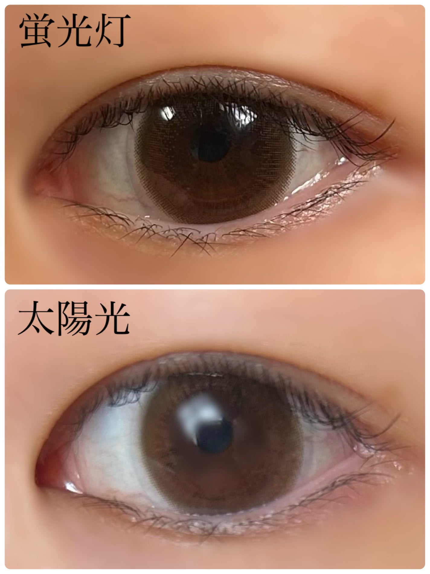 セレクトフェアリー ユーザーセレクト マンスリー/FAIRY/1ヶ月(1MONTH)カラコンを使ったクチコミ(2枚目)