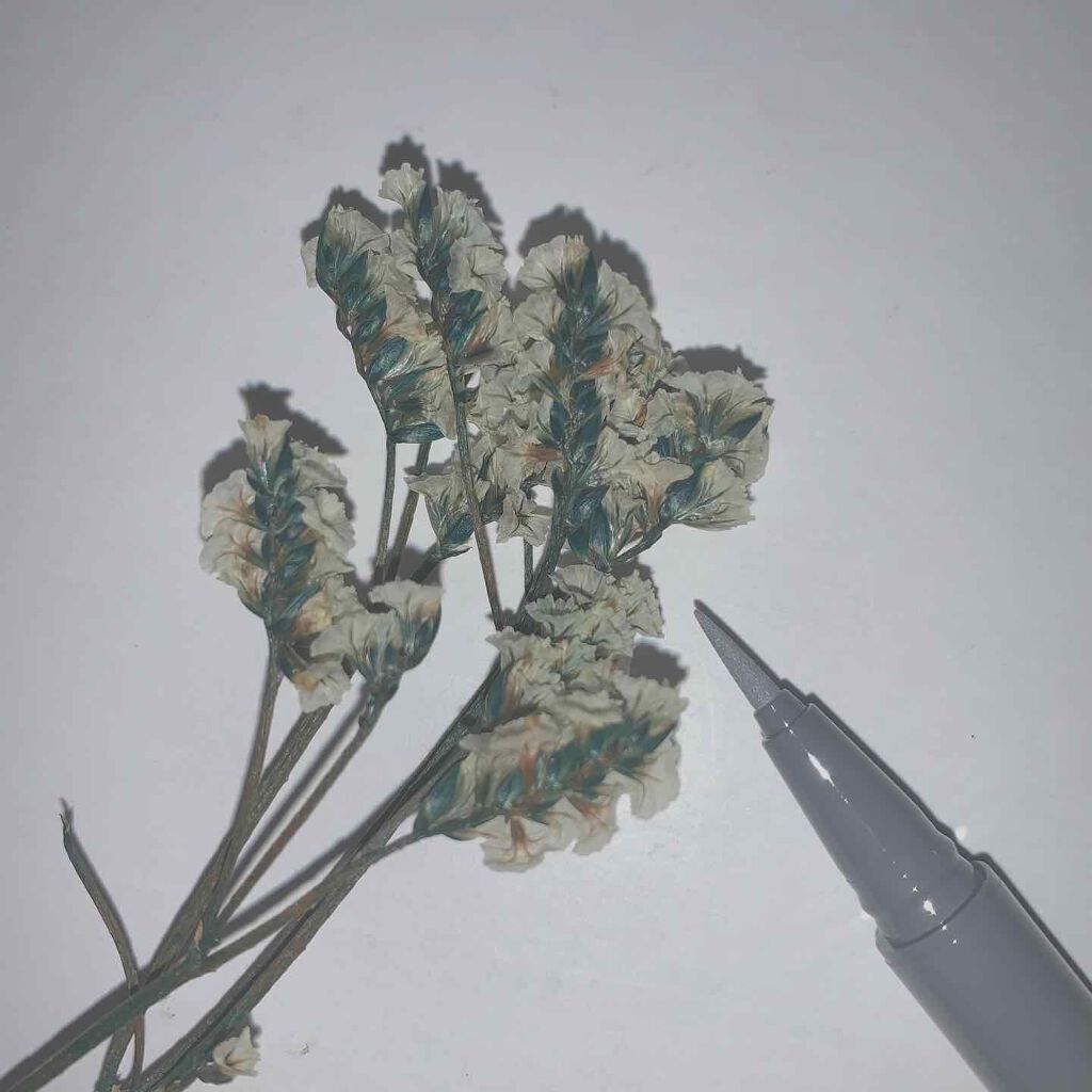 カラーインパクト リキッドライナー/Visée/リキッドアイライナーを使ったクチコミ(1枚目)