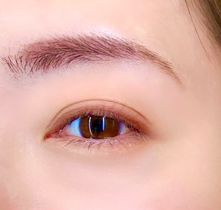 レ キャトル オンブル/CHANEL/アイシャドウパレットを使ったクチコミ(2枚目)