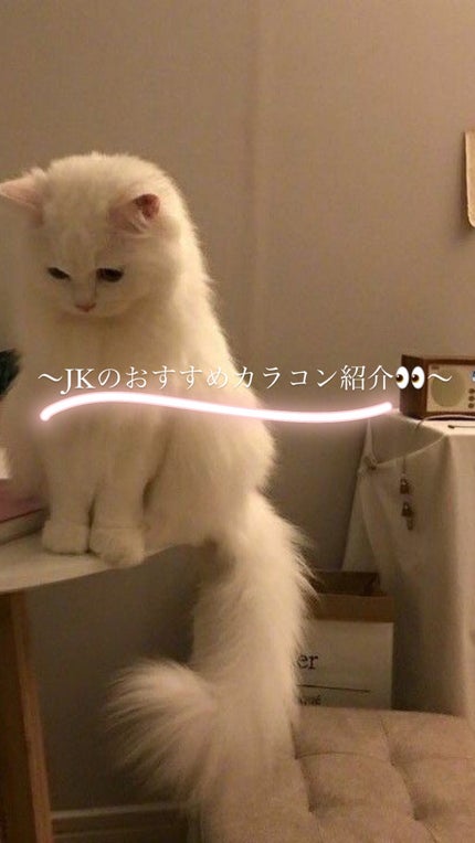 を使ったクチコミ(1枚目)