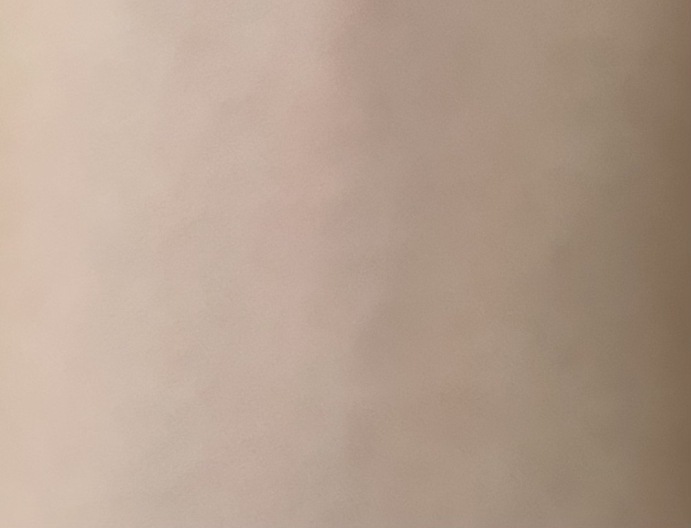 ラブシルクブラッシュ/Laka/パウダーチークを使ったクチコミ（3枚目）