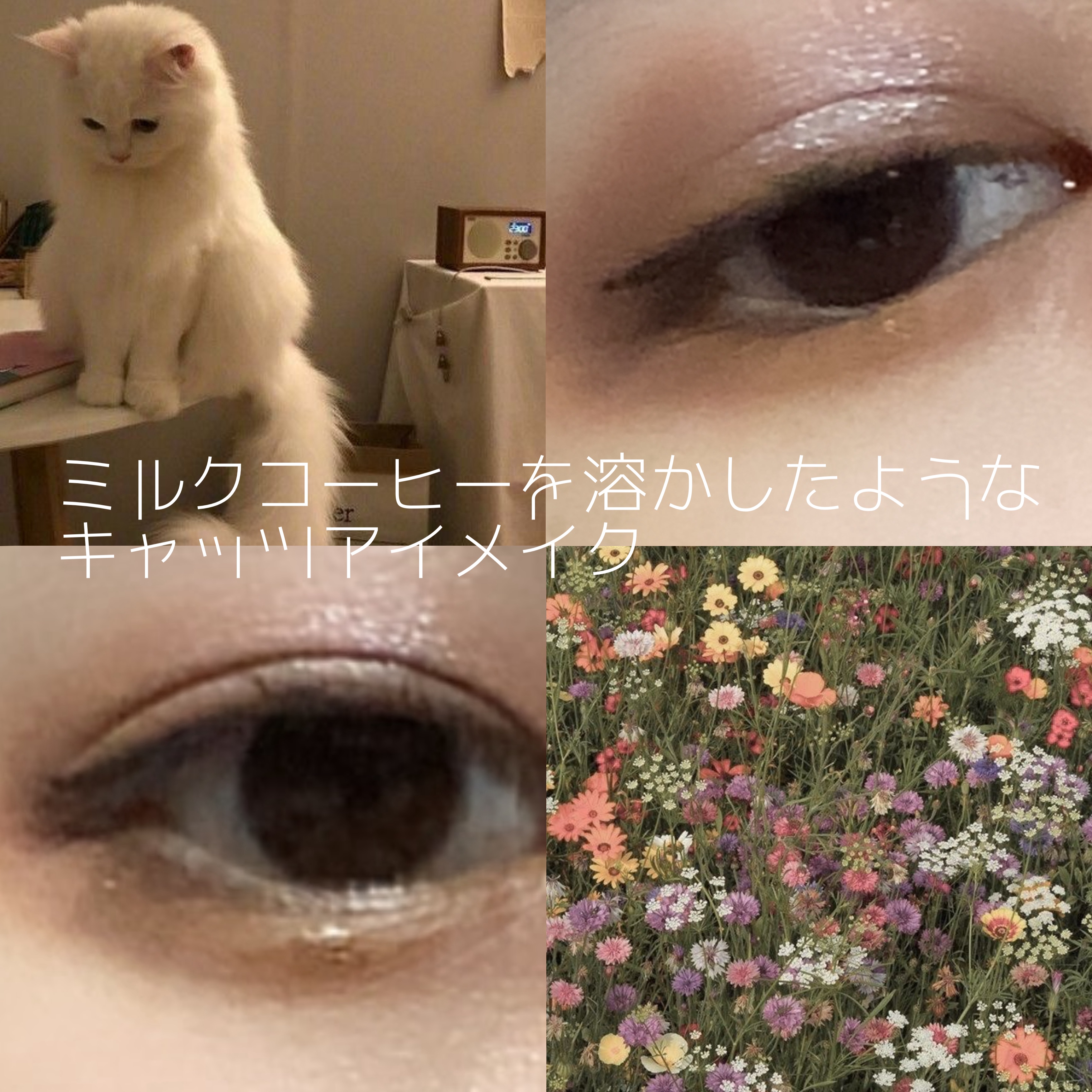 プロ アイ パレット/CLIO/アイシャドウパレットを使ったクチコミ（1枚目）