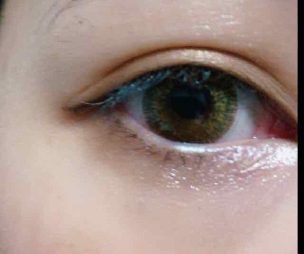 ヴィンテージモードアイズ/KATE/アイシャドウパレットを使ったクチコミ（1枚目）