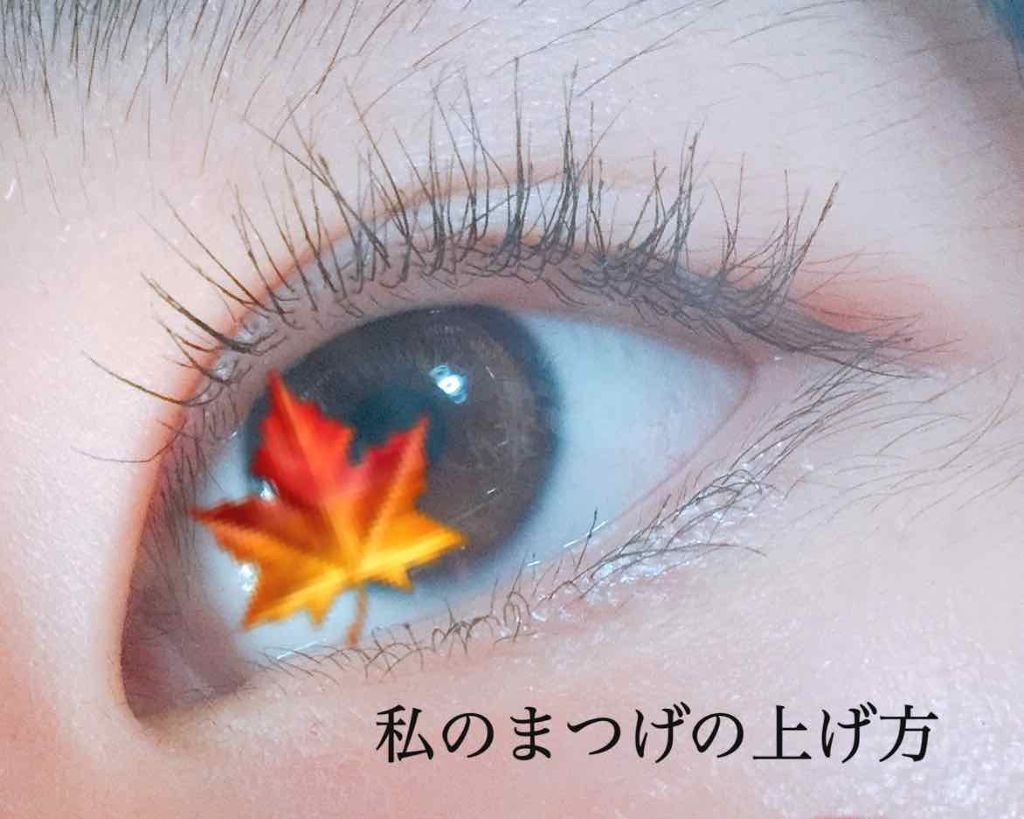 アイラッシュカーラー/DAISO/ビューラーを使ったクチコミ(1枚目)