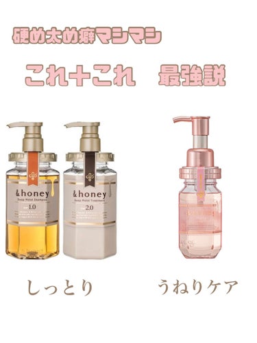 ディープモイスト シャンプー1.0／ヘアトリートメント2.0/&honey/シャンプー・コンディショナーを使ったクチコミ（1枚目）