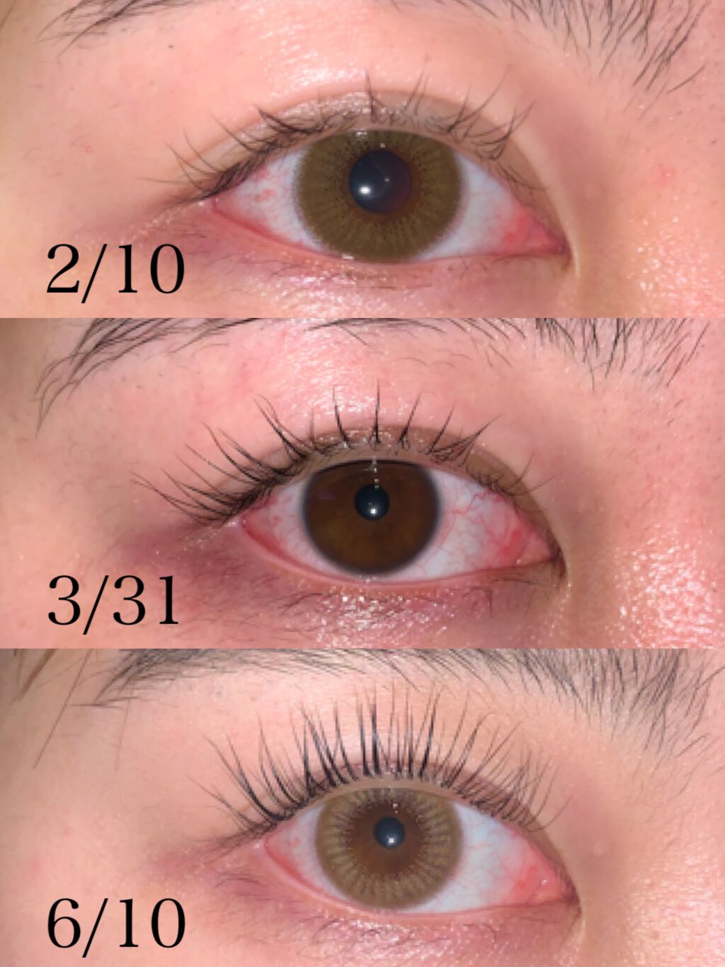 エグータム/アルマダスタイル/まつげ美容液を使ったクチコミ（1枚目）