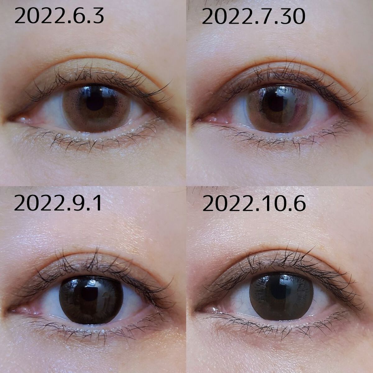 ラッシュジェリードロップ　ＥＸ/マジョリカ マジョルカ/まつげ美容液を使ったクチコミ（2枚目）