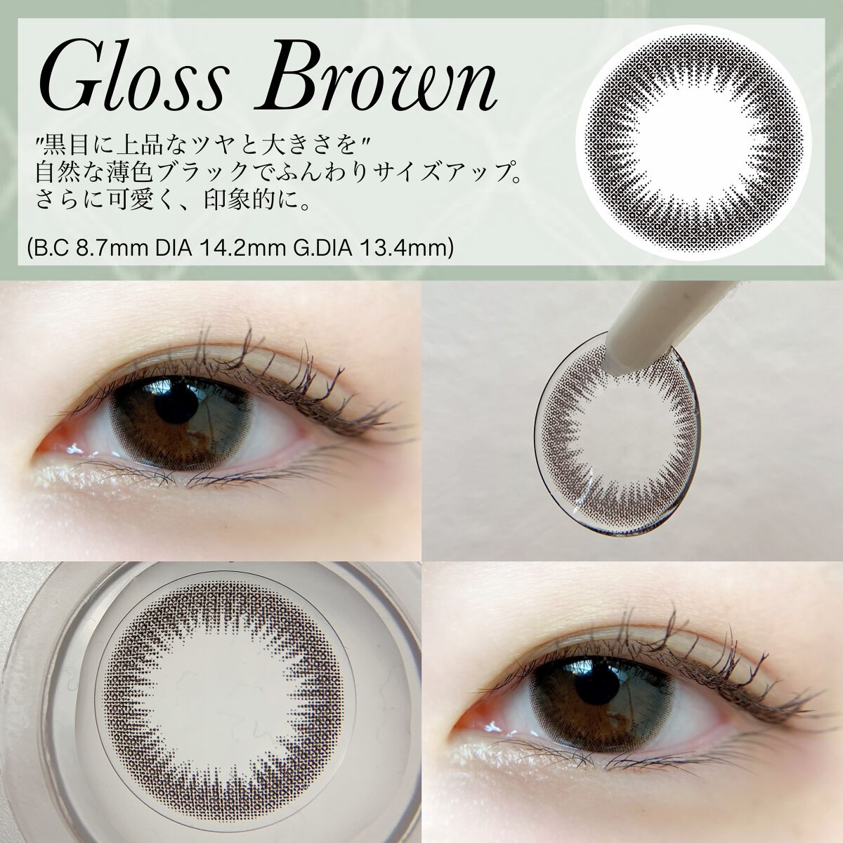 1DAY Refrear elebelle/Refrear/ワンデー(1DAY)カラコンを使ったクチコミ(7枚目)