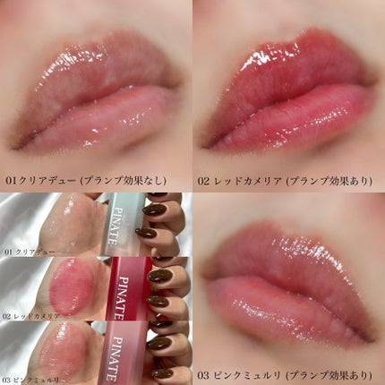 ナチュラルブルームリップオイルセラム 3色セット/PINATE/リップグロスを使ったクチコミ(6枚目)