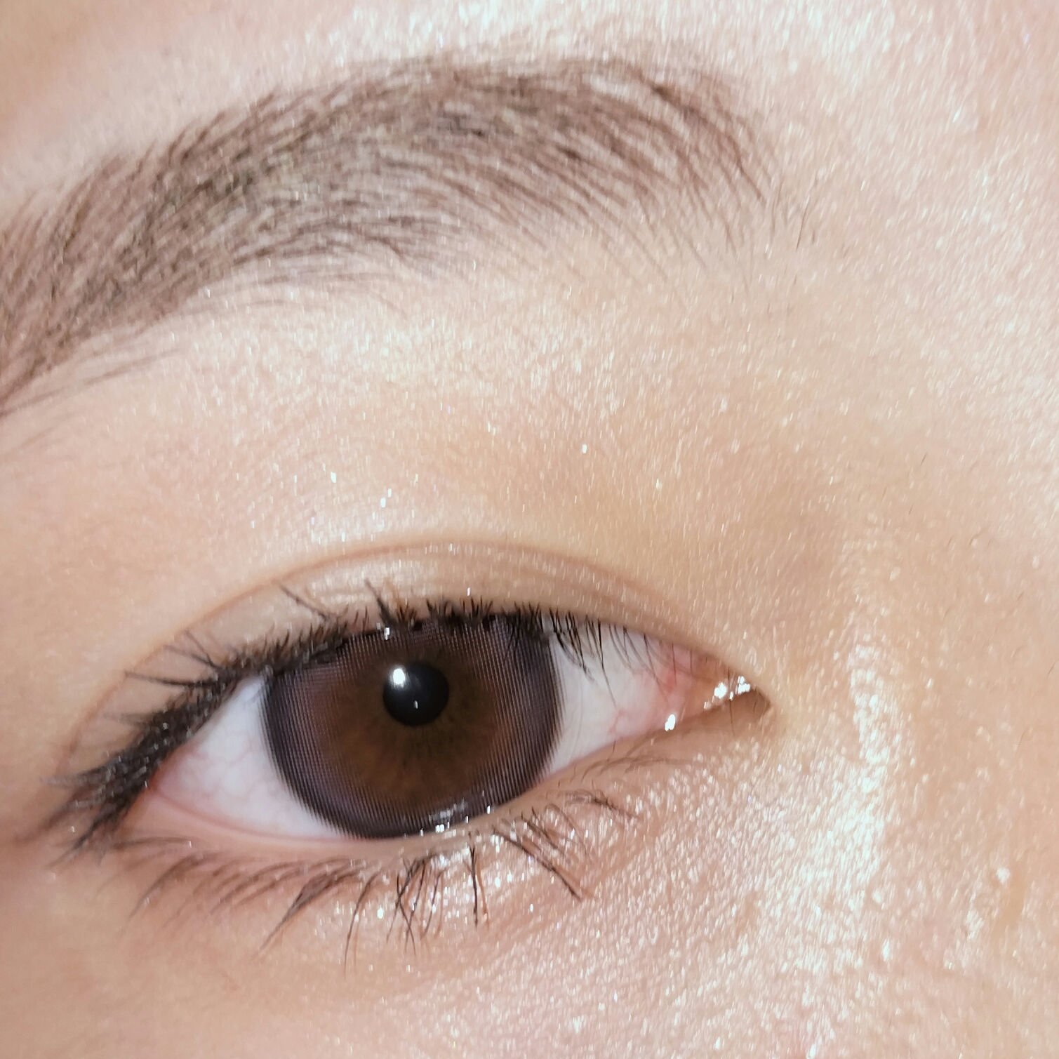 Tweed Kristin 1day/Hapa kristin/ワンデー（１DAY）カラコンを使ったクチコミ（2枚目）