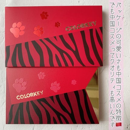 トラ十色アイシャドウパレット/COLORKEY/アイシャドウパレットを使ったクチコミ(3枚目)