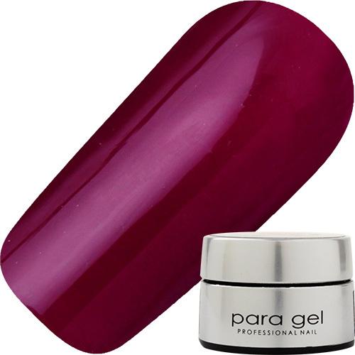 パラジェル DD02 ダークレッド