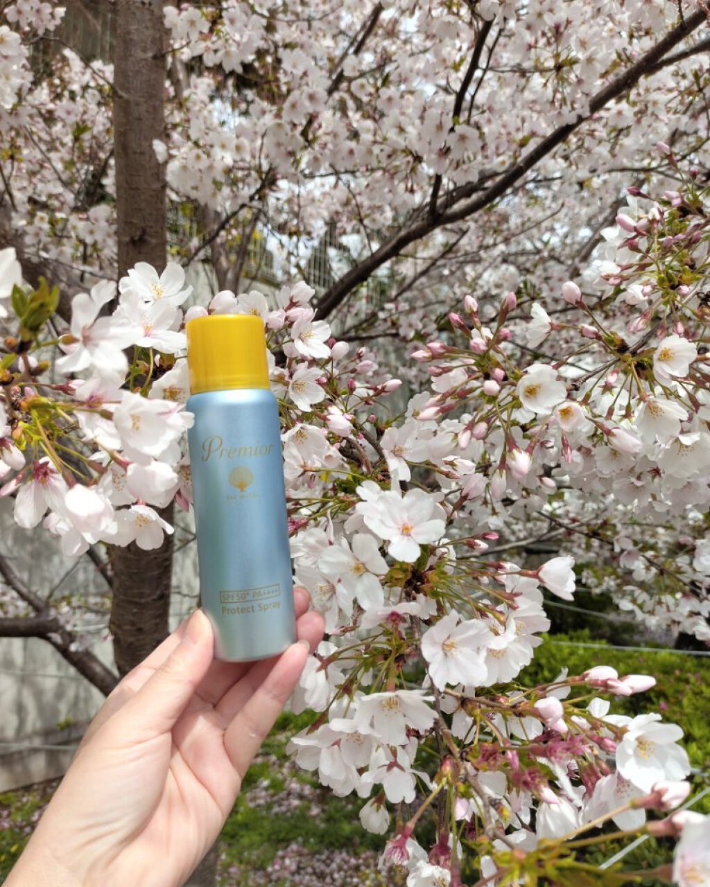  プレミオール プロテクト スプレー/ラサーナ/香水(レディース)を使ったクチコミ（1枚目）