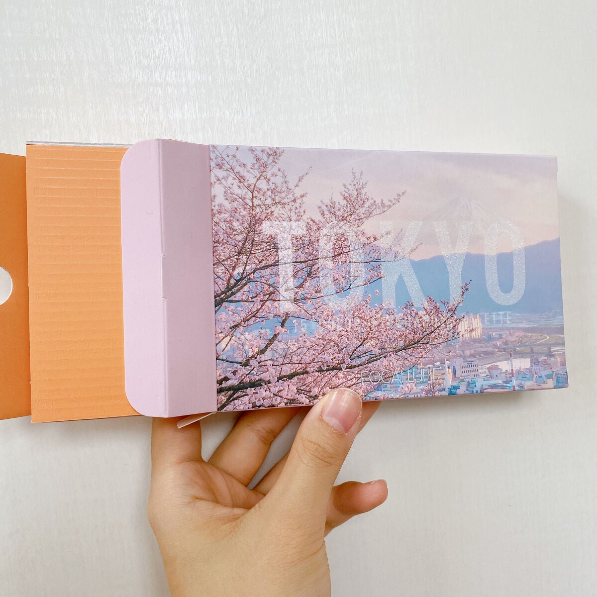 GO TRAVEL 15色アイシャドウパレット/FOCALLURE/アイシャドウパレットを使ったクチコミ(4枚目)